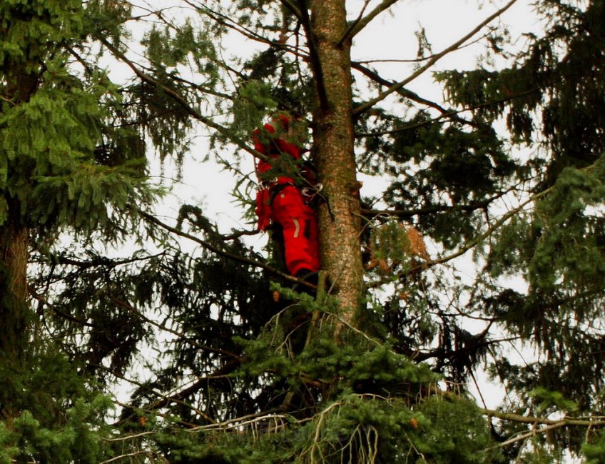 Katzenrettung Koeln Holweide Bergisch Gladbacherstr P63.JPG